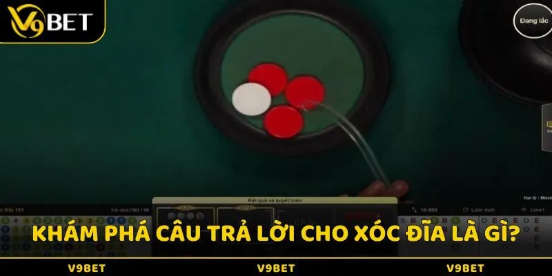 Khám phá câu trả lời cho câu hỏi Xóc đĩa là gì?