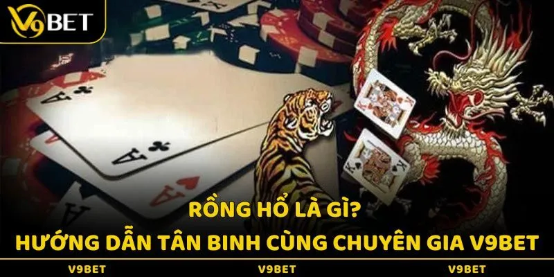 Rồng Hổ Là Gì? Hướng Dẫn Tân Binh Cùng Chuyên Gia V9Bet