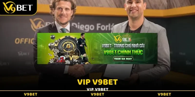 VIP V9BET - Đặc Quyền Vượt Bậc Của Hội Viên Thượng Hạng